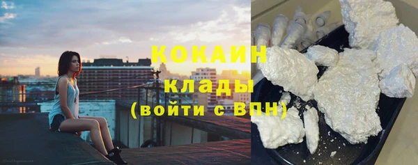 прущие грибы Заволжье