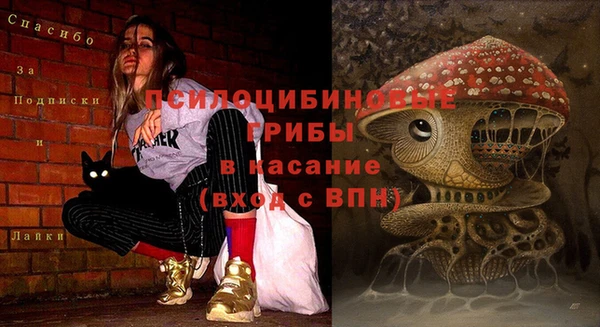 прущие грибы Заволжье