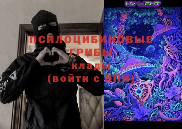 прущие грибы Заволжье