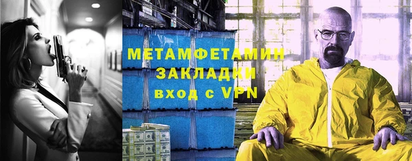 прущие грибы Заволжье