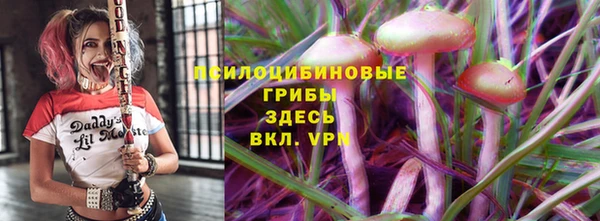 прущие грибы Заволжье