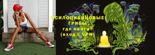 прущие грибы Заволжье