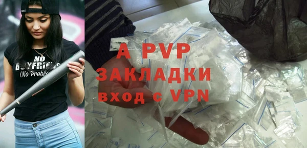 прущие грибы Заволжье