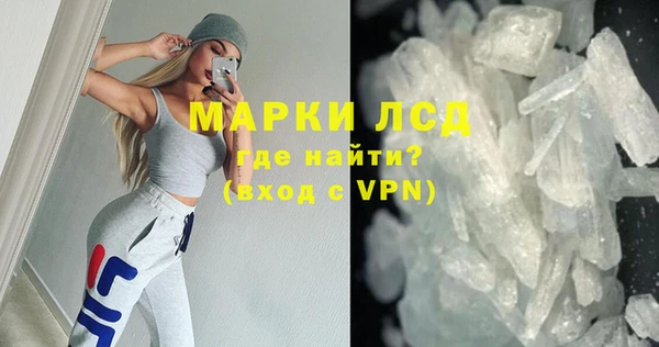 прущие грибы Заволжье